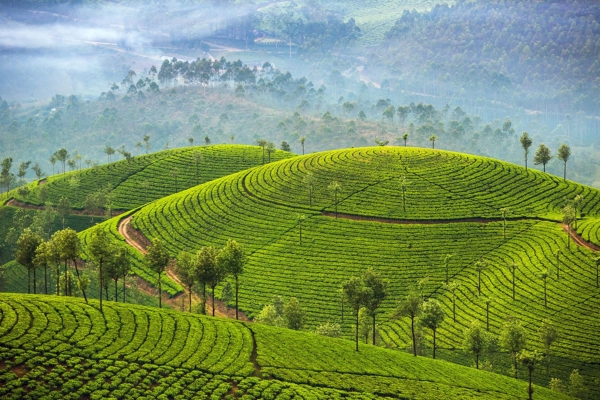 Saidham Tours